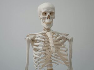 Osteoporoza – przyczyny, diagnostyka i&nbsp;zapobieganie złamaniom