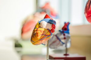 Kołatanie serca podczas infekcji – przyczyny, mechanizmy i&nbsp;znaczenie kliniczne